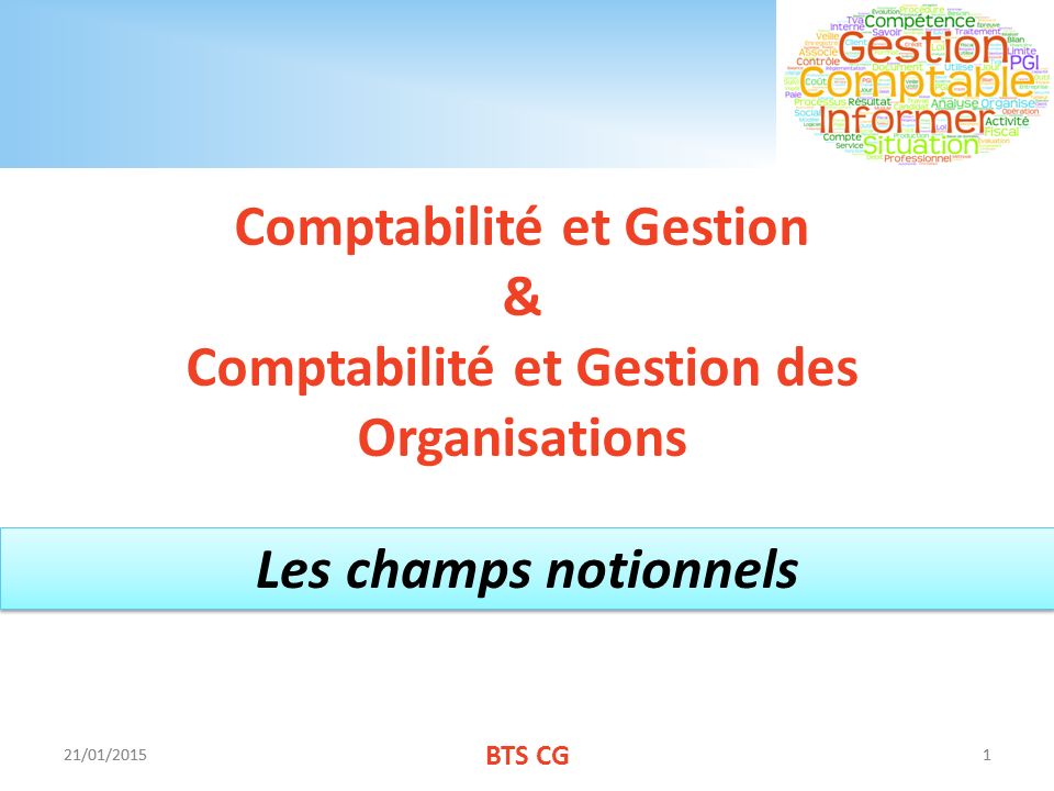 21/01/20151 Comptabilité et Gestion & Comptabilité et Gestion des Organisations 21/01/2015 BTS CG 1 Les champs notionnels