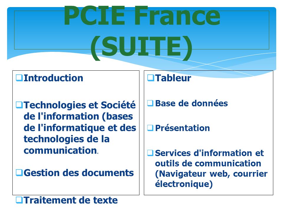 PCIE France (SUITE)  Introduction  Technologies et Société de l information (bases de l informatique et des technologies de la communication.
