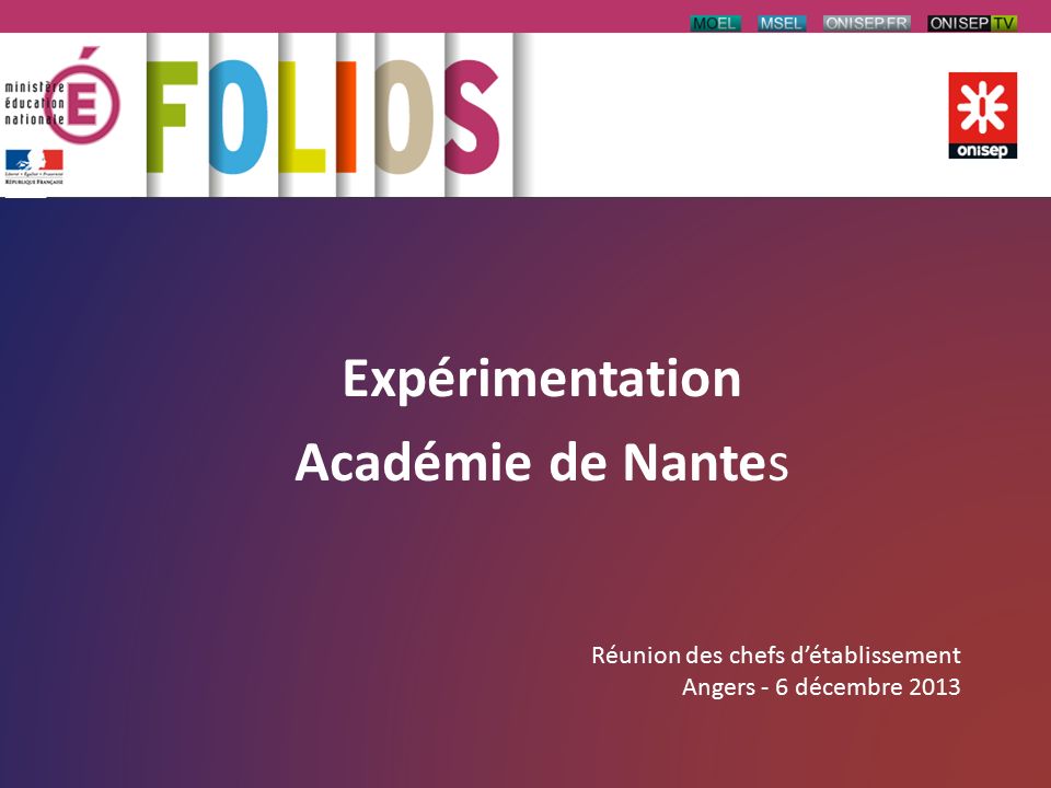 Expérimentation Académie de Nantes Réunion des chefs d’établissement Angers - 6 décembre 2013
