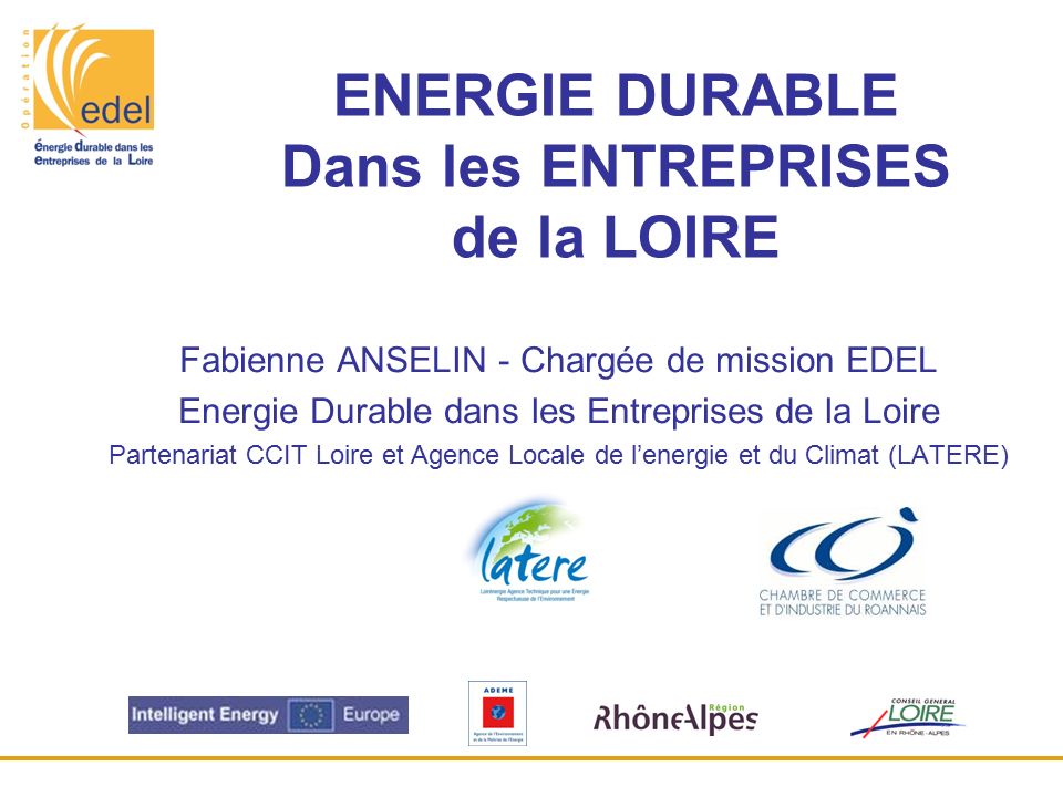 ENERGIE DURABLE Dans les ENTREPRISES de la LOIRE Fabienne ANSELIN - Chargée de mission EDEL Energie Durable dans les Entreprises de la Loire Partenariat CCIT Loire et Agence Locale de l’energie et du Climat (LATERE)