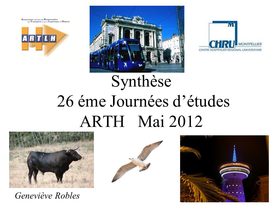 Synthèse 26 éme Journées d’études ARTH Mai 2012 Geneviève Robles