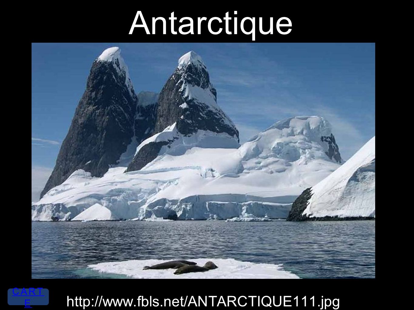 Antarctique   CART E