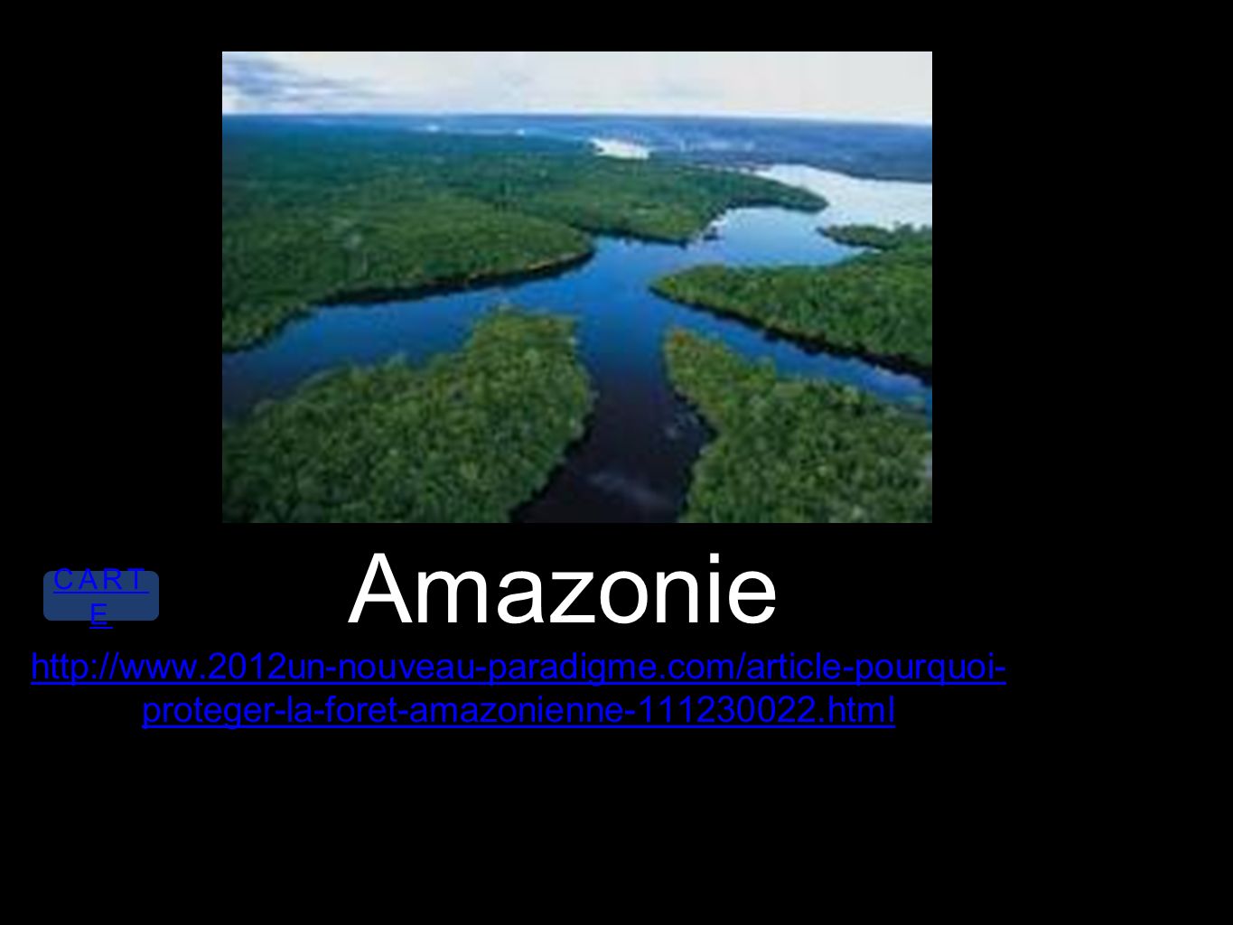 Amazonie   proteger-la-foret-amazonienne html CART E