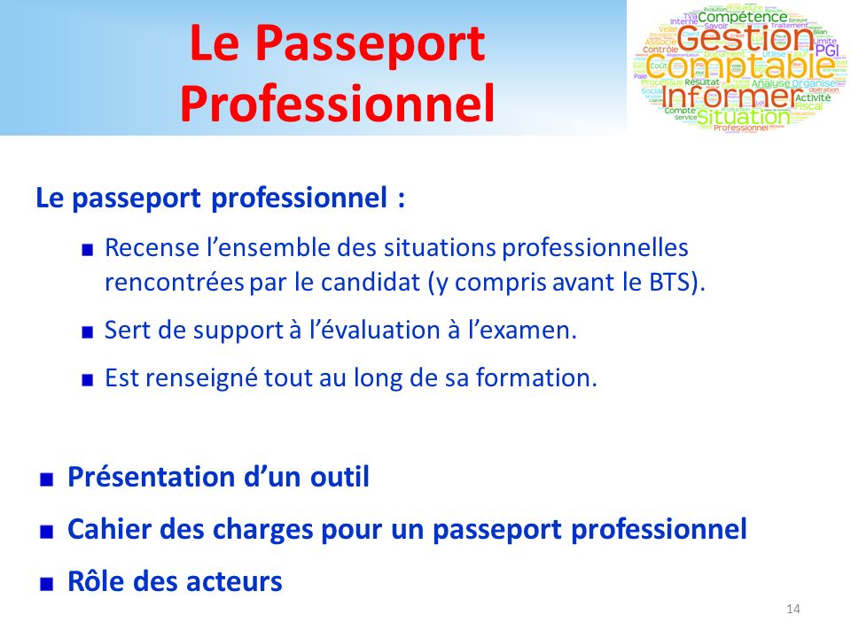 Le Passeport Professionnel Le passeport professionnel : Recense l’ensemble des situations professionnelles rencontrées par le candidat (y compris avant le BTS).