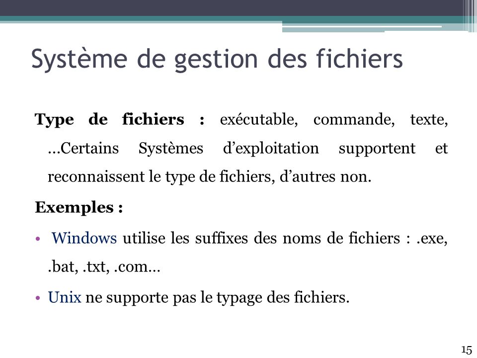 Type de fichiers : exécutable, commande, texte,...Certains Systèmes d’exploitation supportent et reconnaissent le type de fichiers, d’autres non.