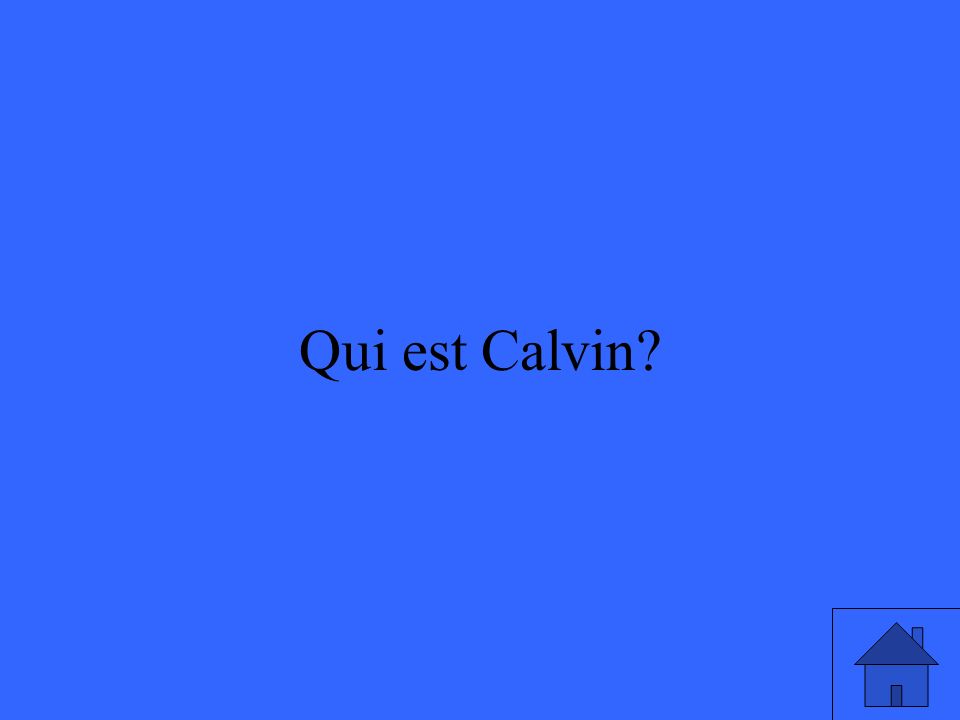 17 Qui est Calvin