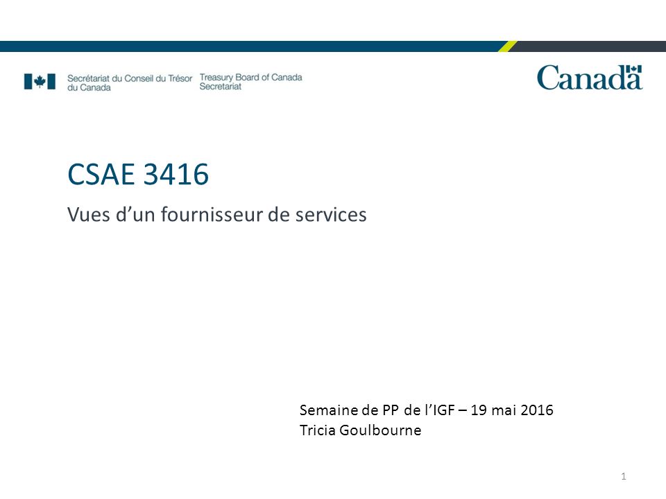 CSAE 3416 Vues d’un fournisseur de services 1 Semaine de PP de l’IGF – 19 mai 2016 Tricia Goulbourne