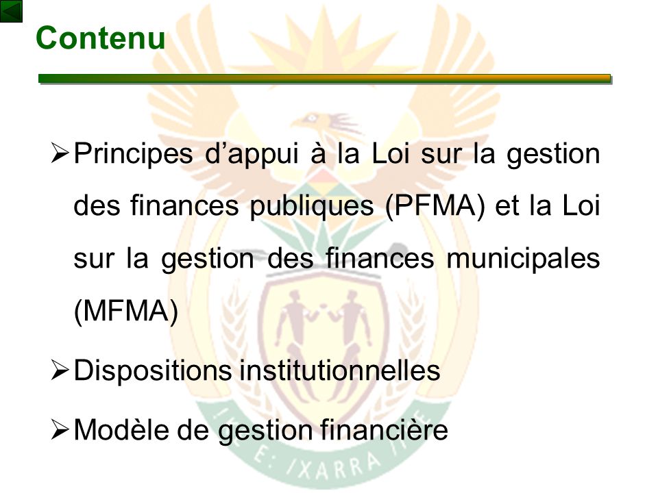 Contenu  Principes d’appui à la Loi sur la gestion des finances publiques (PFMA) et la Loi sur la gestion des finances municipales (MFMA)  Dispositions institutionnelles  Modèle de gestion financière