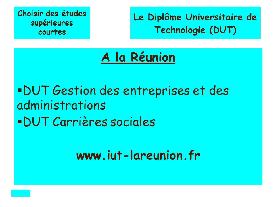 Choisir des études supérieures courtes A la Réunion  DUT Gestion des entreprises et des administrations  DUT Carrières sociales   Le Diplôme Universitaire de Technologie (DUT)