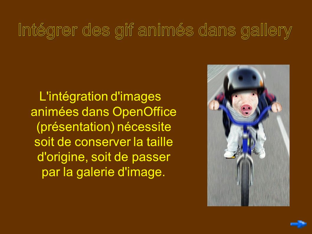 L intégration d images animées dans OpenOffice (présentation) nécessite soit de conserver la taille d origine, soit de passer par la galerie d image.