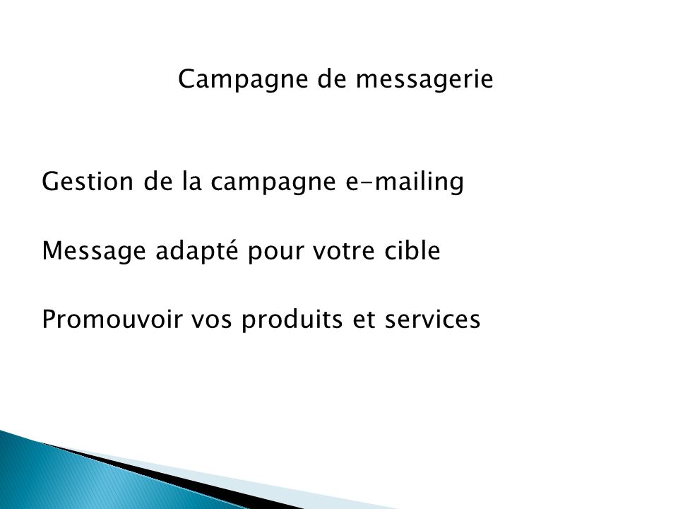 Campagne de messagerie Gestion de la campagne  ing Message adapté pour votre cible Promouvoir vos produits et services