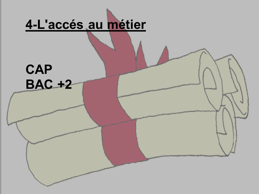 4-L accés au métier CAP BAC +2