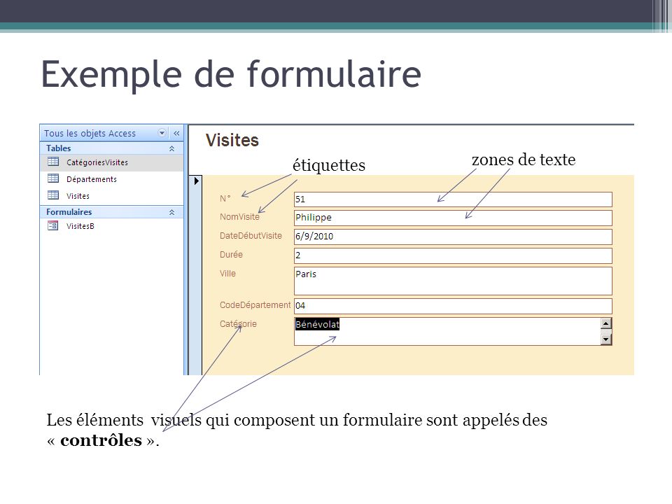 Exemple de formulaire Les éléments visuels qui composent un formulaire sont appelés des « contrôles ».