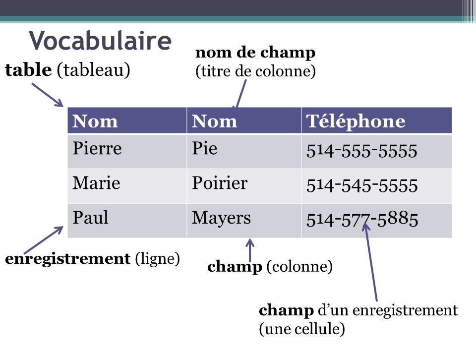 Vocabulaire Nom Téléphone PierrePie MariePoirier PaulMayers table (tableau) enregistrement (ligne) nom de champ (titre de colonne) champ (colonne) champ d’un enregistrement (une cellule)