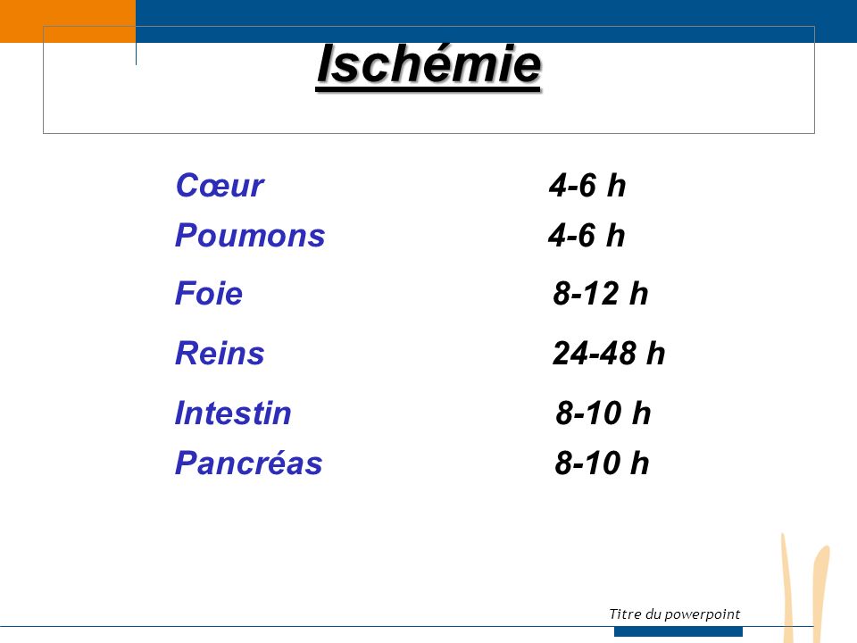 Titre du powerpoint Ischémie Cœur 4-6 h Poumons 4-6 h Foie 8-12 h Reins h Intestin 8-10 h Pancréas 8-10 h