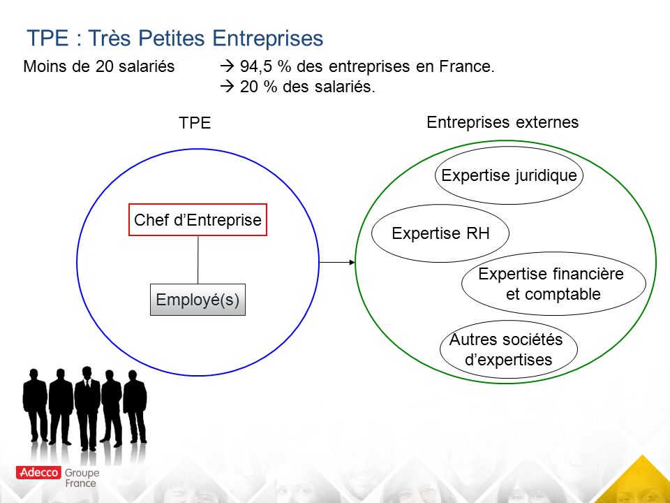 TPE : Très Petites Entreprises Moins de 20 salariés  94,5 % des entreprises en France.