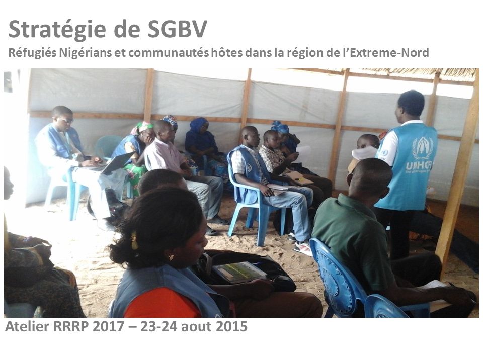 Stratégie de SGBV Réfugiés Nigérians et communautés hôtes dans la région de l’Extreme-Nord Atelier RRRP 2017 – aout 2015