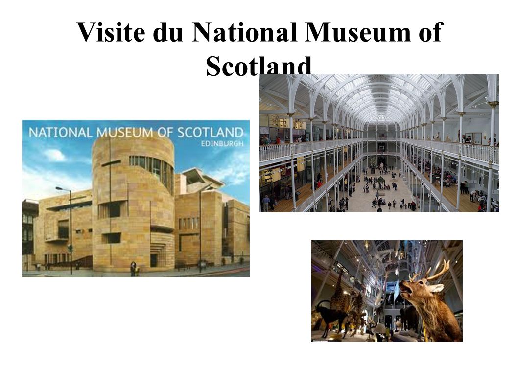 Visite du National Museum of Scotland