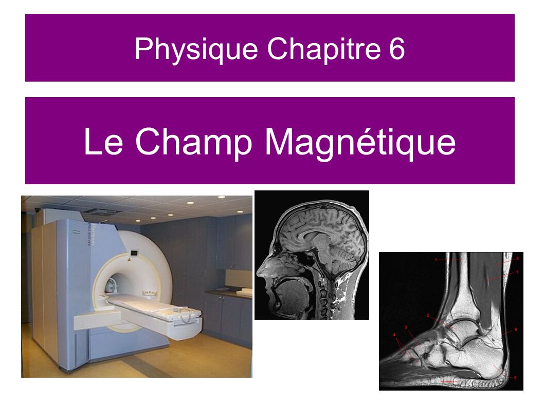 Physique Chapitre 6 Le Champ Magnétique