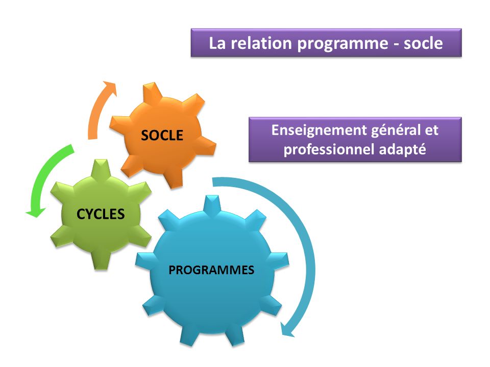 PROGRAMMES CYCLES SOCLE La relation programme - socle Enseignement général et professionnel adapté