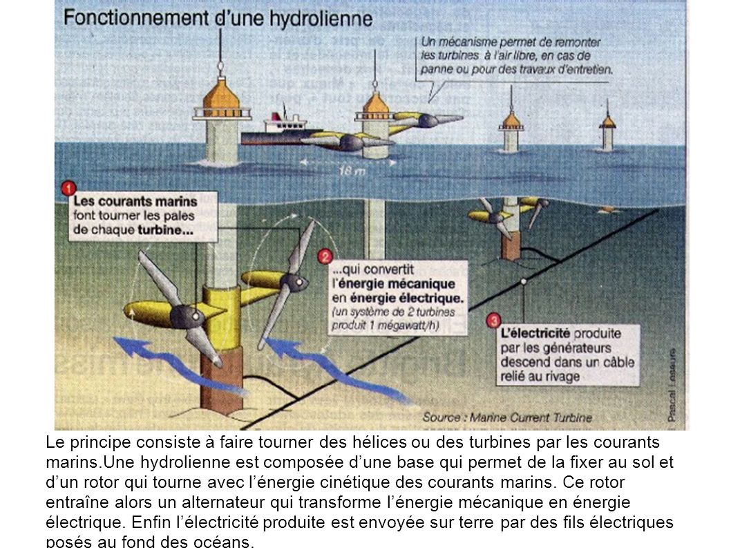 Cassandra Ooghe Le principe consiste à faire tourner des hélices ou des turbines par les courants marins.Une hydrolienne est composée d’une base qui permet de la fixer au sol et d’un rotor qui tourne avec l’énergie cinétique des courants marins.