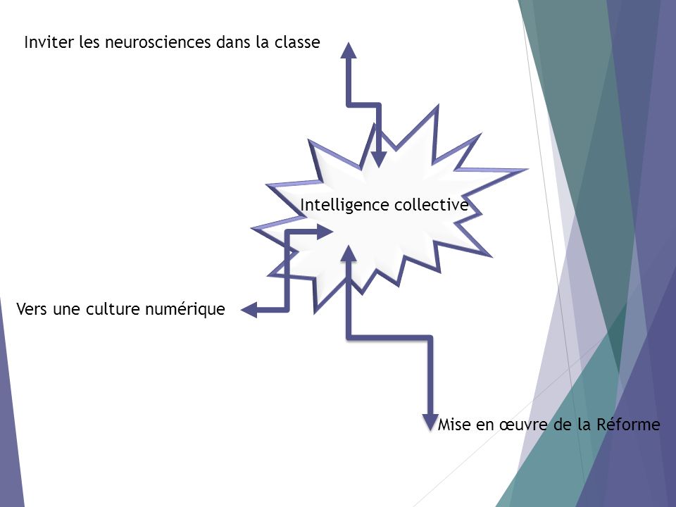 Intelligence collective Vers une culture numérique Inviter les neurosciences dans la classe Mise en œuvre de la Réforme