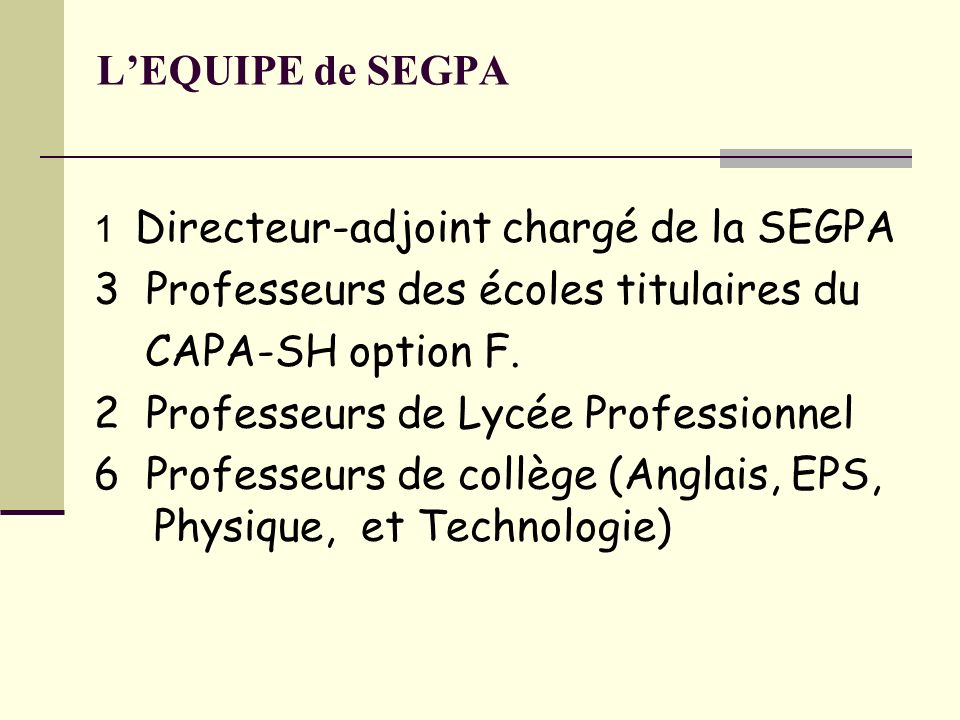 L’EQUIPE de SEGPA 1 Directeur-adjoint chargé de la SEGPA 3 Professeurs des écoles titulaires du CAPA-SH option F.