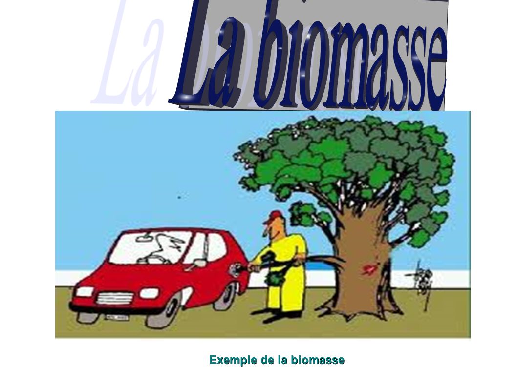 Exemple de la biomasse
