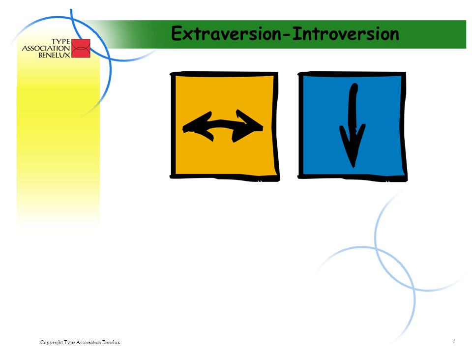 Copyright Type Association Benelux 7 Extraversion-Introversion