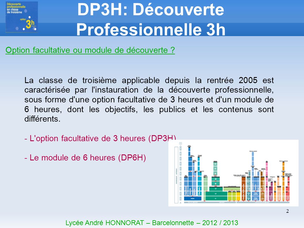 2 DP3H: Découverte Professionnelle 3h Lycée André HONNORAT – Barcelonnette – 2012 / 2013 Option facultative ou module de découverte .
