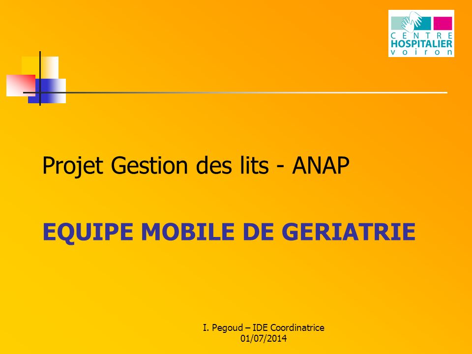 EQUIPE MOBILE DE GERIATRIE Projet Gestion des lits - ANAP I. Pegoud – IDE Coordinatrice 01/07/2014