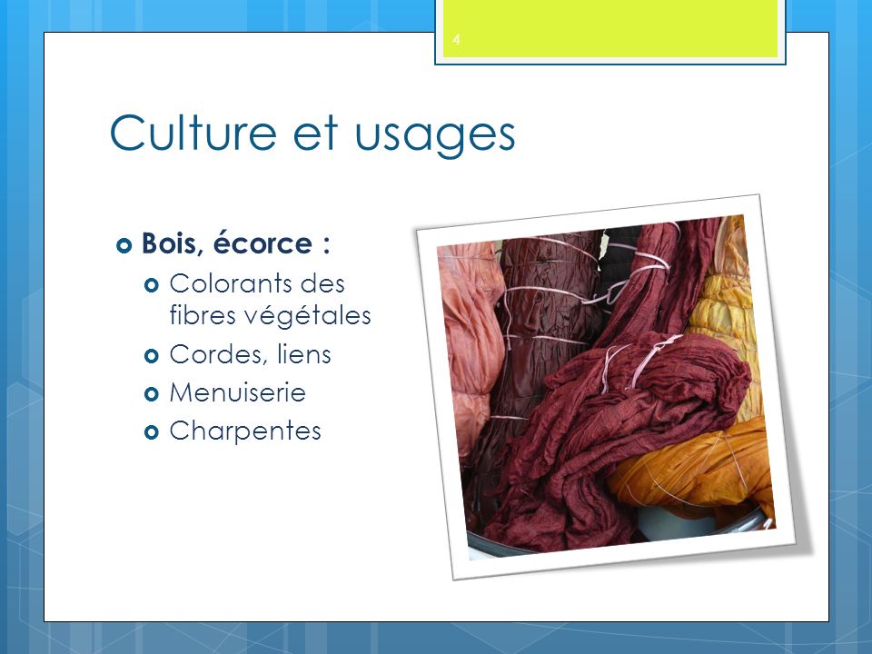 Culture et usages 4  Bois, écorce :  Colorants des fibres végétales  Cordes, liens  Menuiserie  Charpentes
