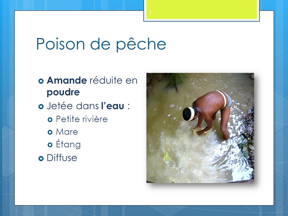 Poison de pêche 7  Amande réduite en poudre  Jetée dans l’eau :  Petite rivière  Mare  Étang  Diffuse
