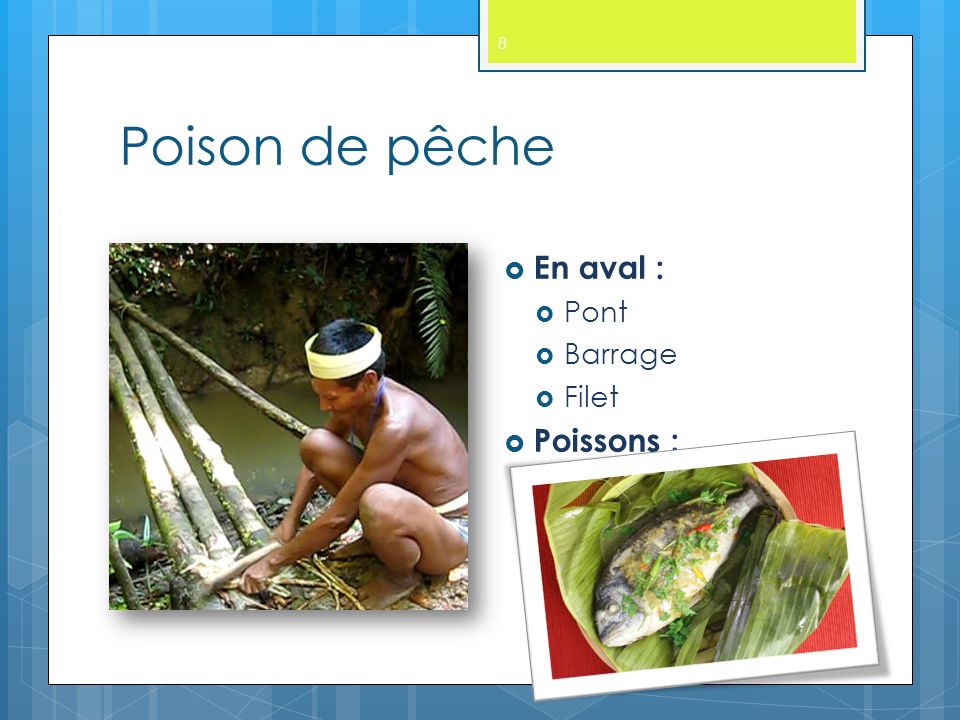 Poison de pêche 8  En aval :  Pont  Barrage  Filet  Poissons :  Étourdis ou morts  Consommables