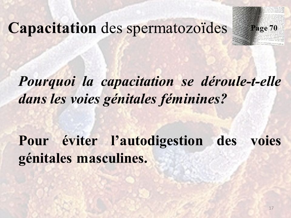 Capacitation des spermatozoïdes Pourquoi la capacitation se déroule-t-elle dans les voies génitales féminines.