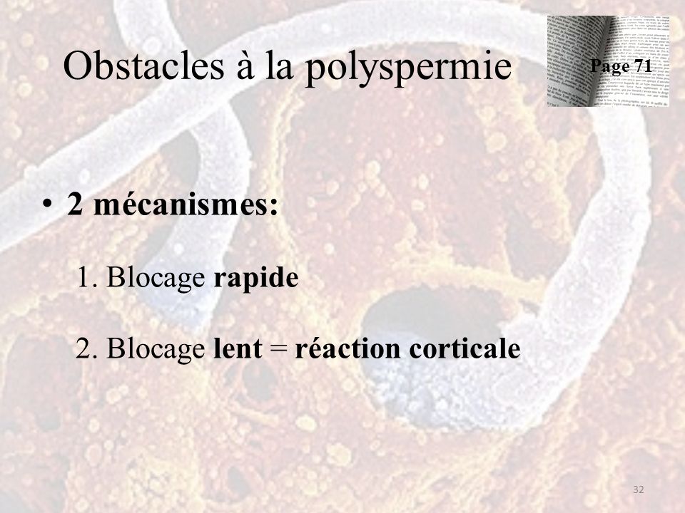Obstacles à la polyspermie 2 mécanismes: 1. Blocage rapide 2.