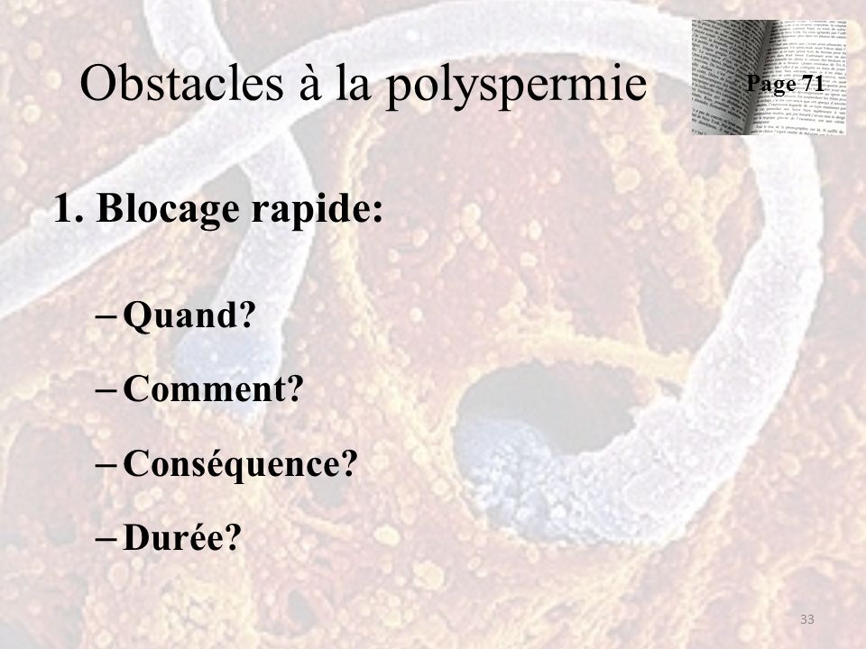 Obstacles à la polyspermie 1. Blocage rapide: – Quand.
