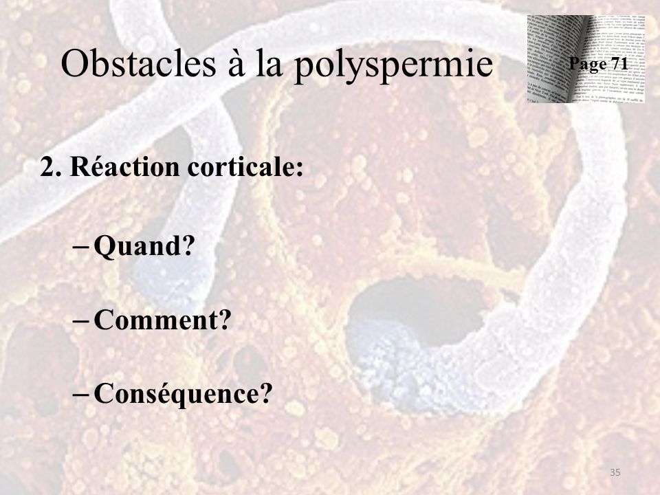 Obstacles à la polyspermie 2. Réaction corticale: – Quand – Comment – Conséquence 35 Page 71