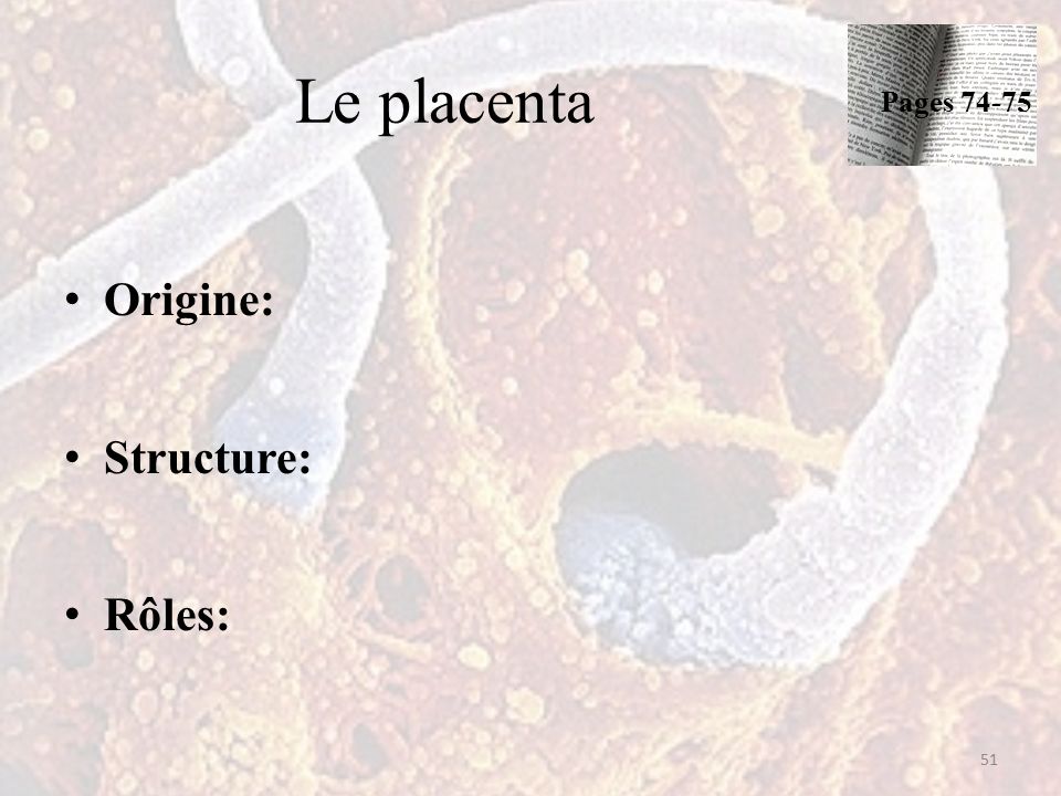 Le placenta Origine: Structure: Rôles: 51 Pages 74-75
