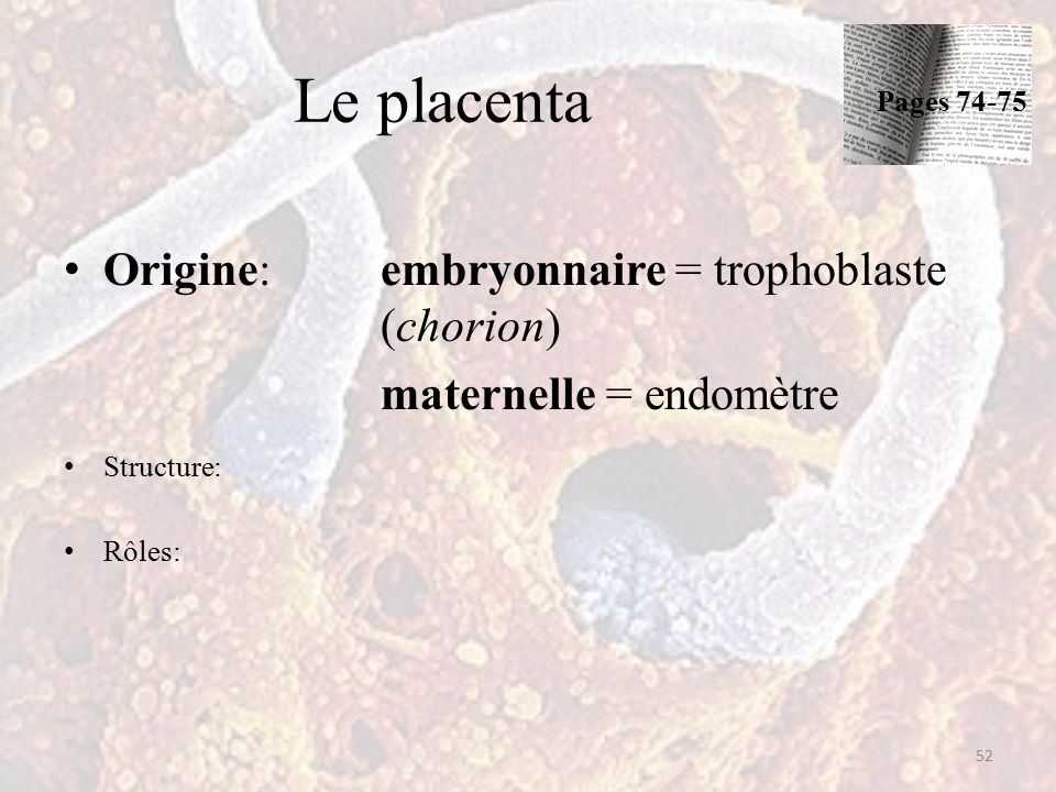 Le placenta Origine: embryonnaire = trophoblaste (chorion) maternelle = endomètre Structure: Rôles: 52 Pages 74-75