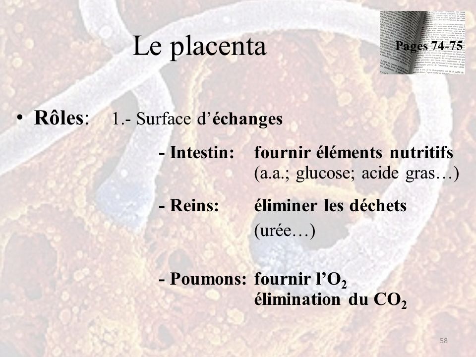 Le placenta Rôles: 1.- Surface d’échanges - Intestin: fournir éléments nutritifs (a.a.; glucose; acide gras…) - Reins: éliminer les déchets (urée…) - Poumons:fournir l’O 2 élimination du CO 2 58 Pages 74-75