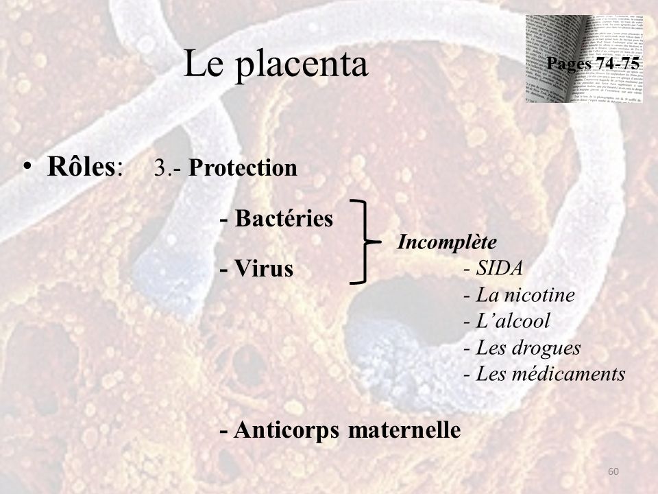 Le placenta Rôles: 3.- Protection - Bactéries - Virus - Anticorps maternelle 60 Pages Incomplète - SIDA - La nicotine - L’alcool - Les drogues - Les médicaments