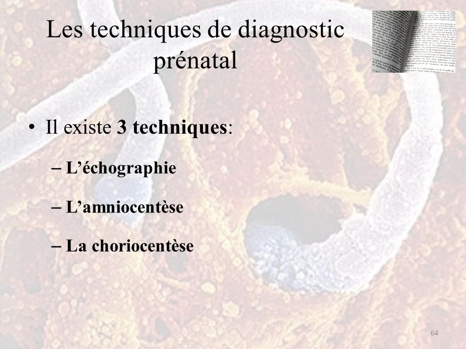 Les techniques de diagnostic prénatal Il existe 3 techniques: – L’échographie – L’amniocentèse – La choriocentèse 64