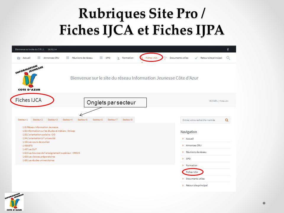 Onglets par secteur Rubriques Site Pro / Fiches IJCA et Fiches IJPA