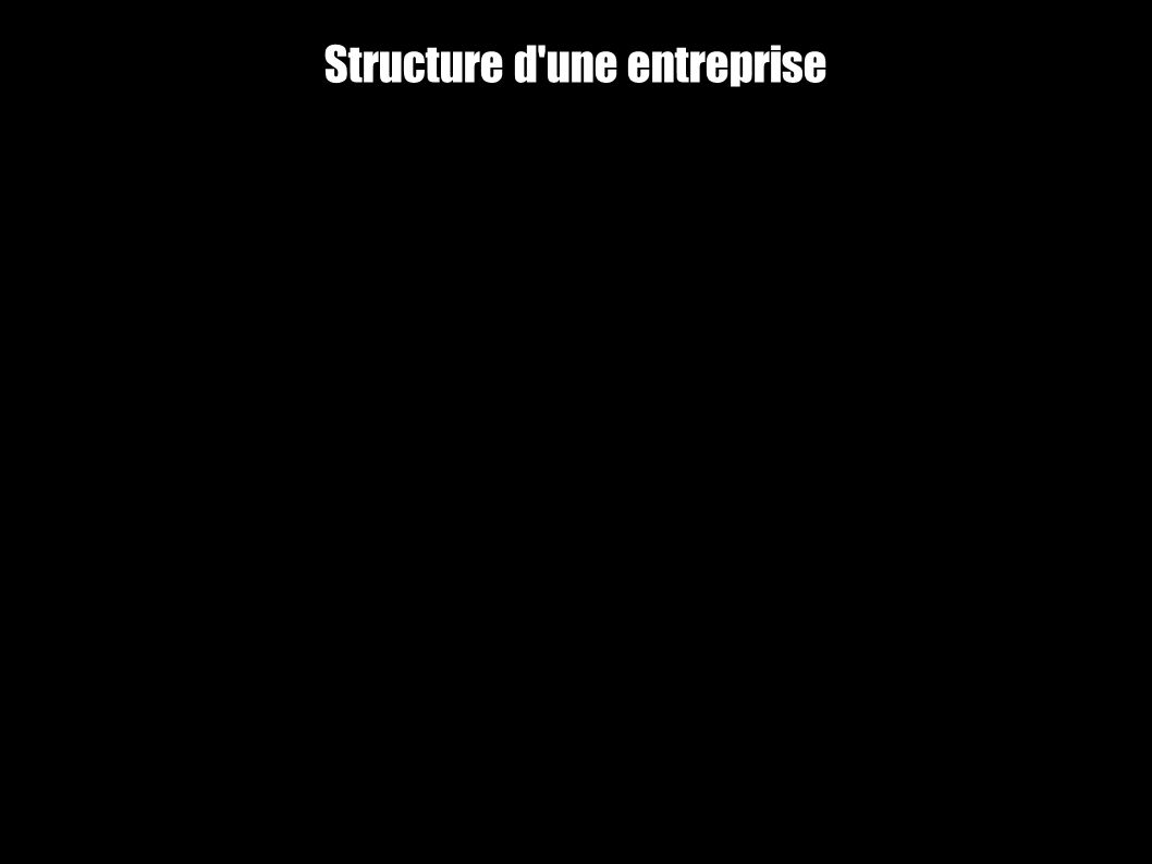 Structure d une entreprise Fin Sommaire Toutes les entreprises n ont pas la même structure de fonctionnement, (nombres de salarié, nombre d usine, type de production).