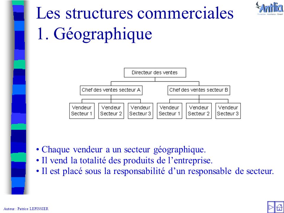 Auteur : Patrice LEPISSIER Les structures commerciales 1.