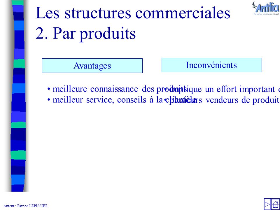 Auteur : Patrice LEPISSIER Les structures commerciales 2.