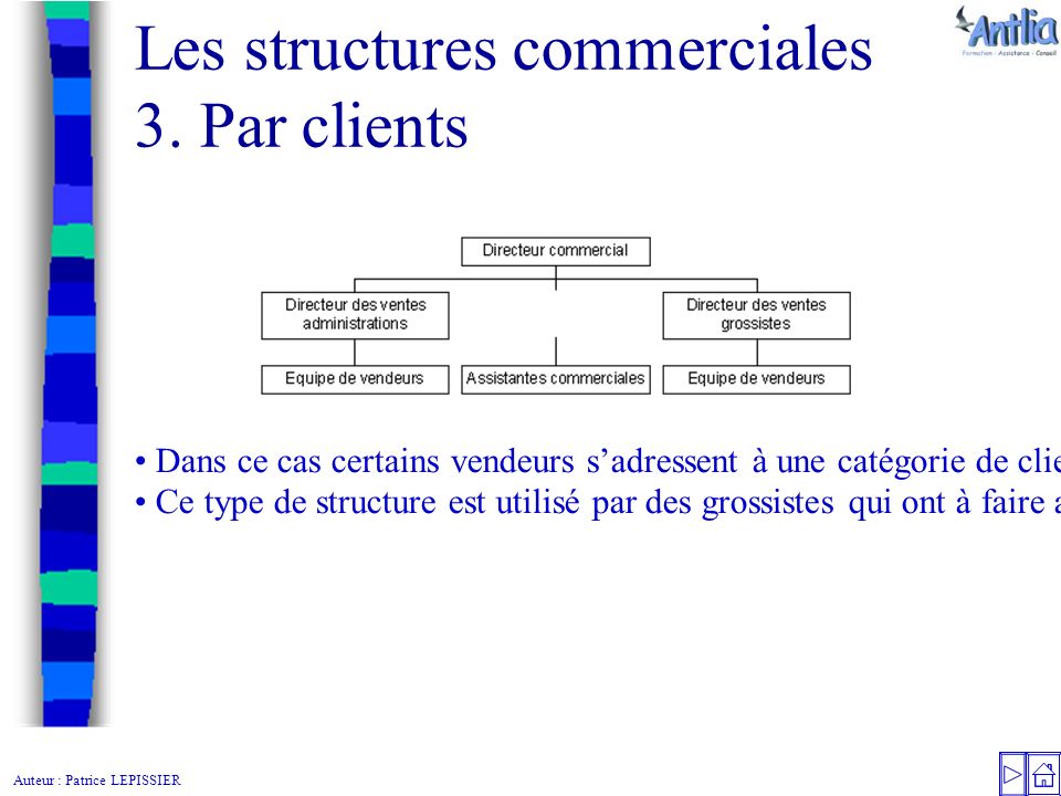 Auteur : Patrice LEPISSIER Les structures commerciales 3.