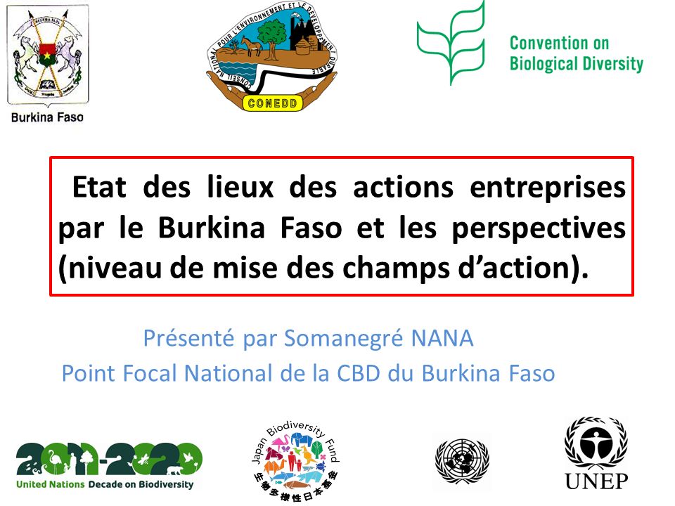 Présenté par Somanegré NANA Point Focal National de la CBD du Burkina Faso Etat des lieux des actions entreprises par le Burkina Faso et les perspectives (niveau de mise des champs d’action).