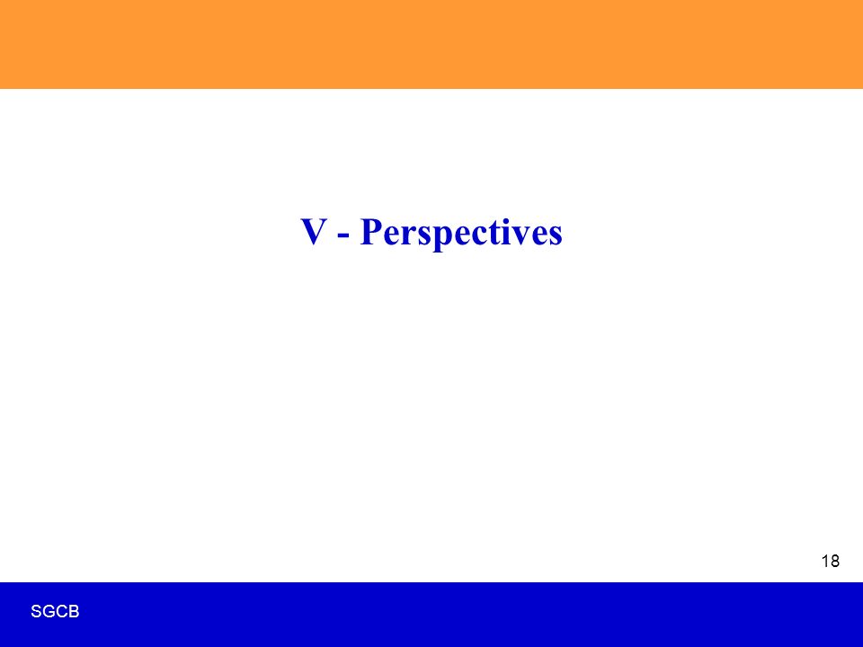 SGCB 18 V - Perspectives